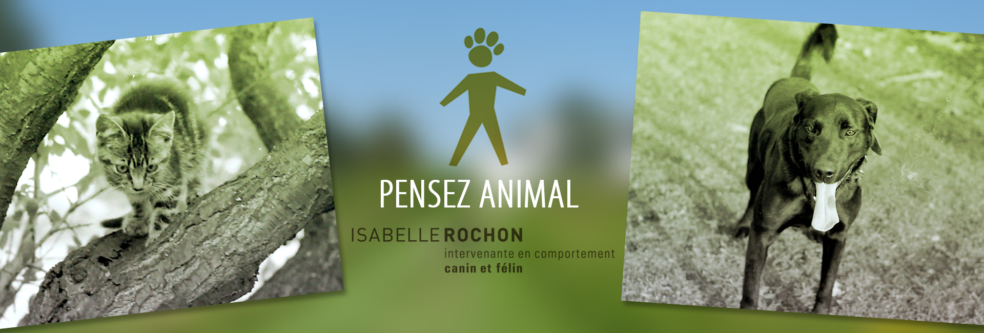 pensezanimal.com